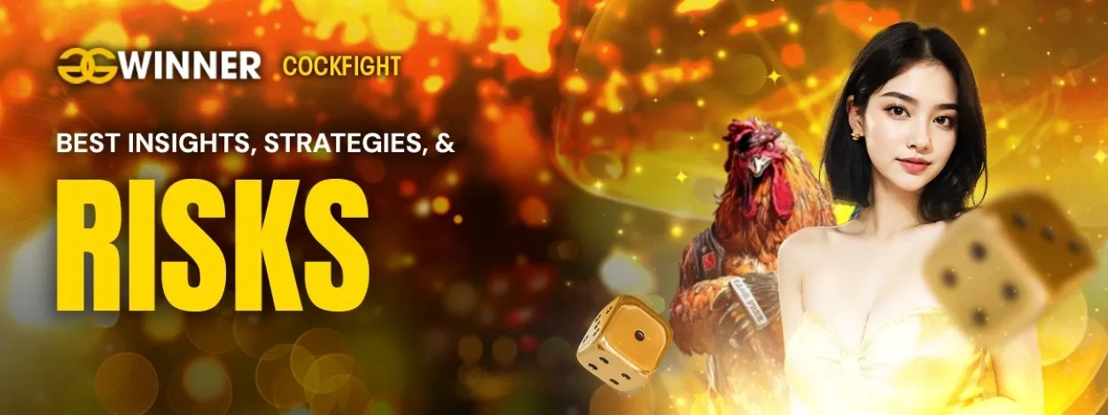 ggwinner cockfight betting best insights strategies and risks